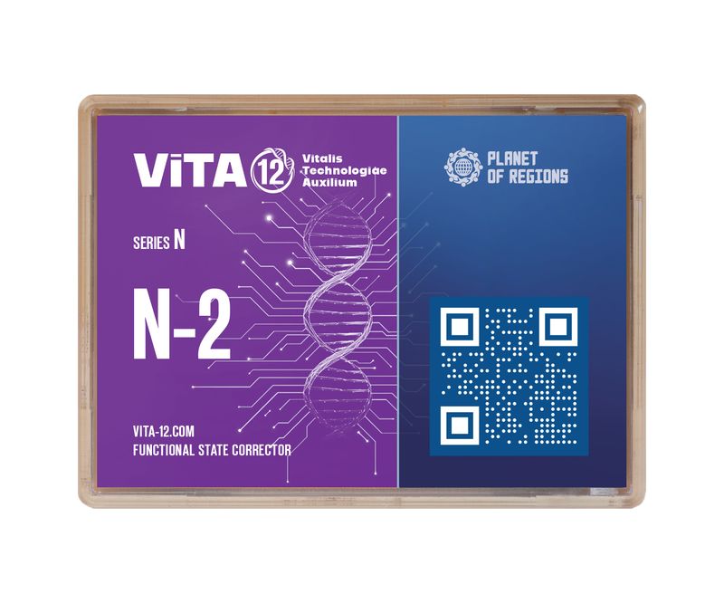 VITA12 N-2 Nervensystem (Gehirn - Anti-Kopfschmerz)